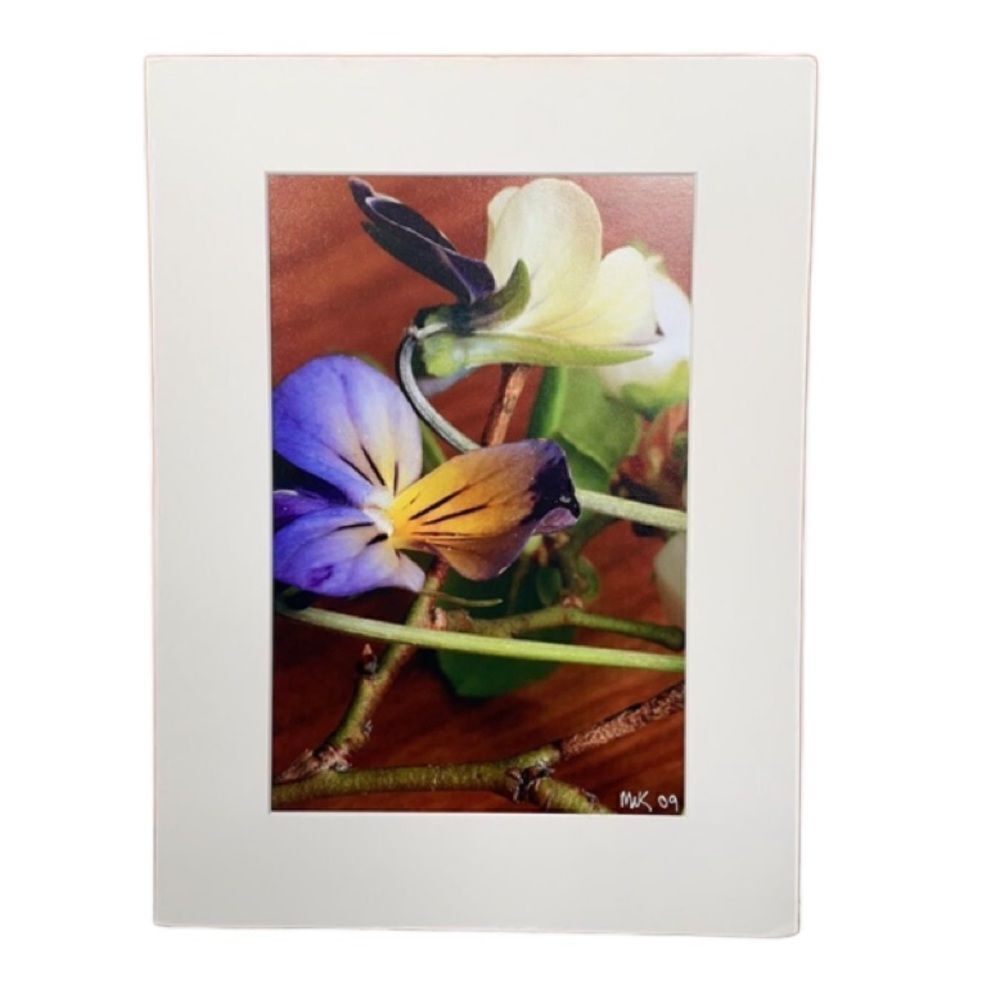 Bright & Beautiful Orchid Photograph Matted Print MIK 2009